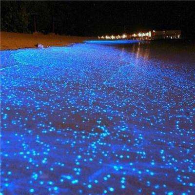 混沌召唤师最新版下载